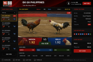 Giao diện trận Đá Gà Philippines trên M88 hiển thị hai chiến kê